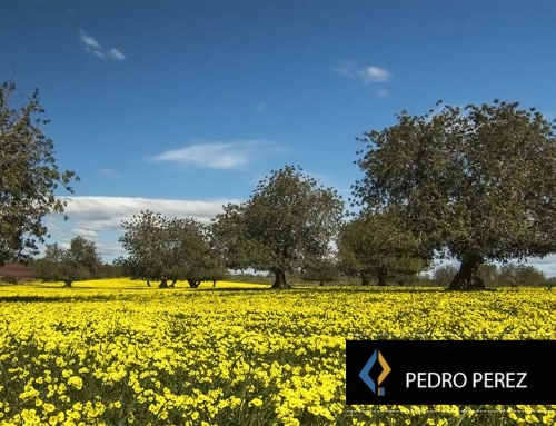 Nuestro compromiso con la sostenibilidad